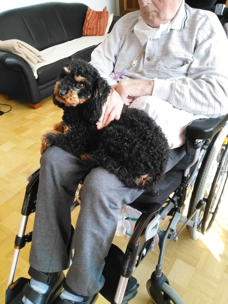Ergotherapie Heringsdorf